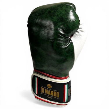 Di Nardo Worldwide Velcro Training Gloves (Used)
