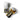 Campeon White & Metallic Gold 16oz Boxing Gloves