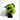 KINGS COUNTY "Brighton Verde" CLASSIC HEADGUARD