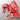 Campeon Sparring Set (Red)