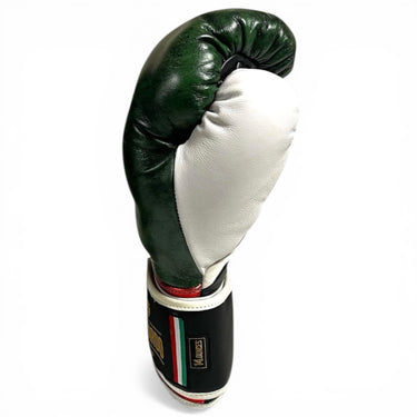 Di Nardo Worldwide Velcro Training Gloves (Used)
