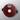 Campeon Punch Shield 40CM (Ox Blood)